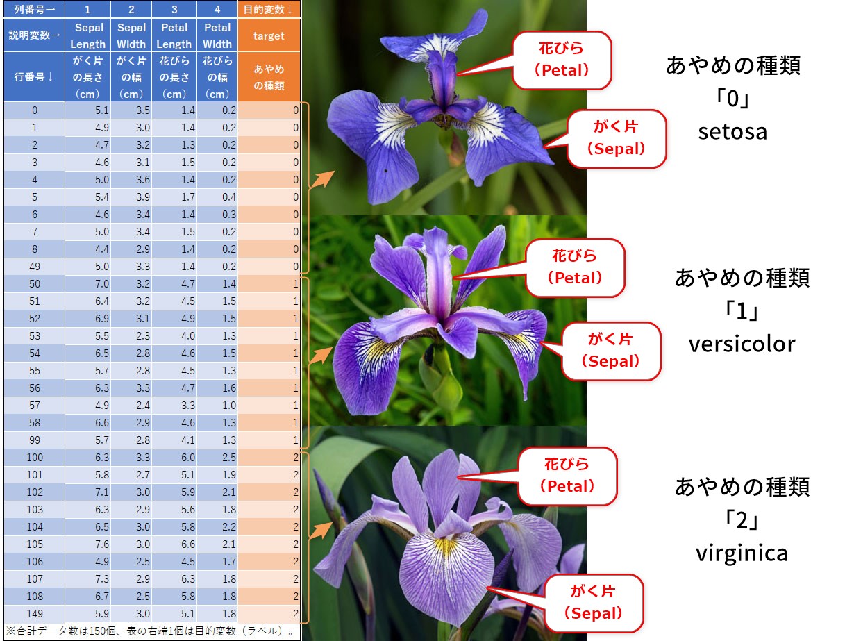 Iris Dataset：あやめ（花びら／がく片の長さと幅の4項目）の表形式データセット：AI・機械学習のデータセット辞典 - ＠IT