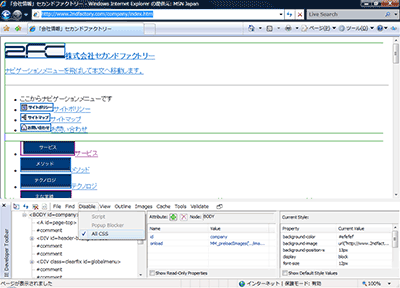 9@Internet Explorer Developer Toolbar̎gpiCSS\j