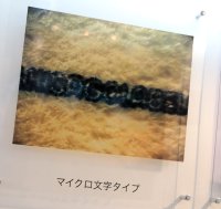 osec02.jpg