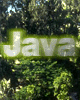 java.gif