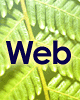 web.gif